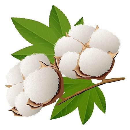 Cleanfly Cleanfly Hair Removal for Women, Painless Premium Eyebrow Trimmer USB Rechargeable Conture Hair Remover and Exfoliation Device for Face and Body with Built-in LED Light Lipstick Style (Green)