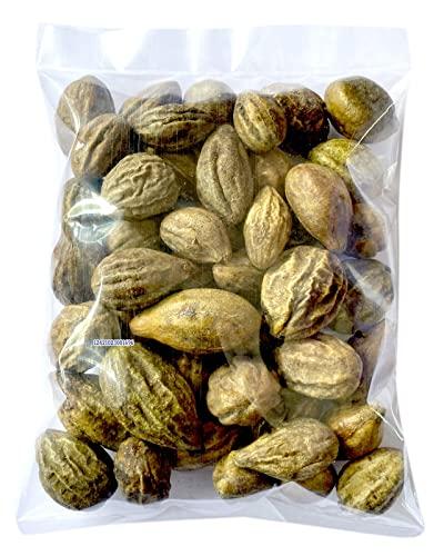 VS Products VS Products Kadukkai Terminalia Chebula Haritaki,50g