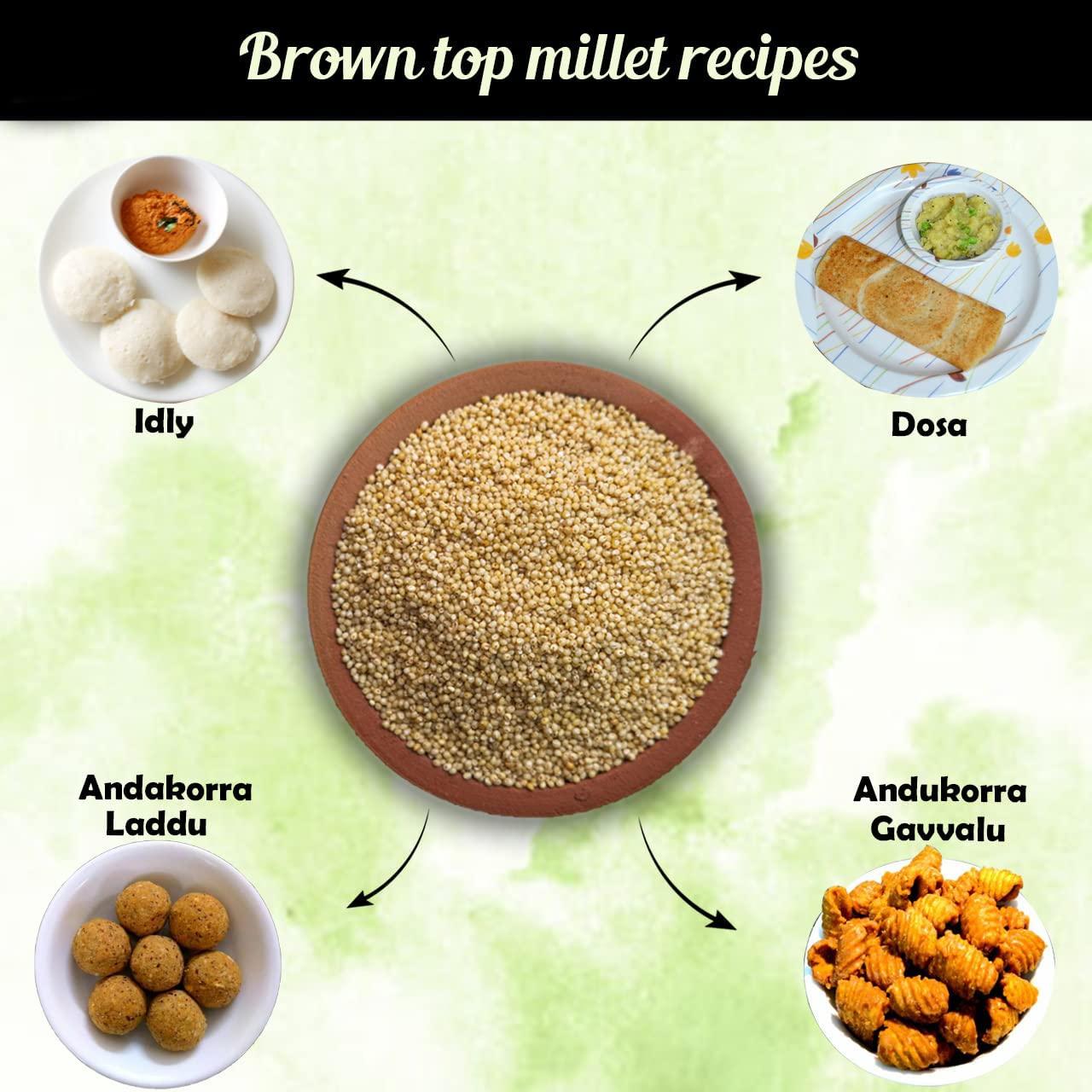 siridhanyalu Siridhanya Unpolished and Organic Browntop Millets 920gm pack, Gross wt 1000gm) Organically Grown from Karnataka