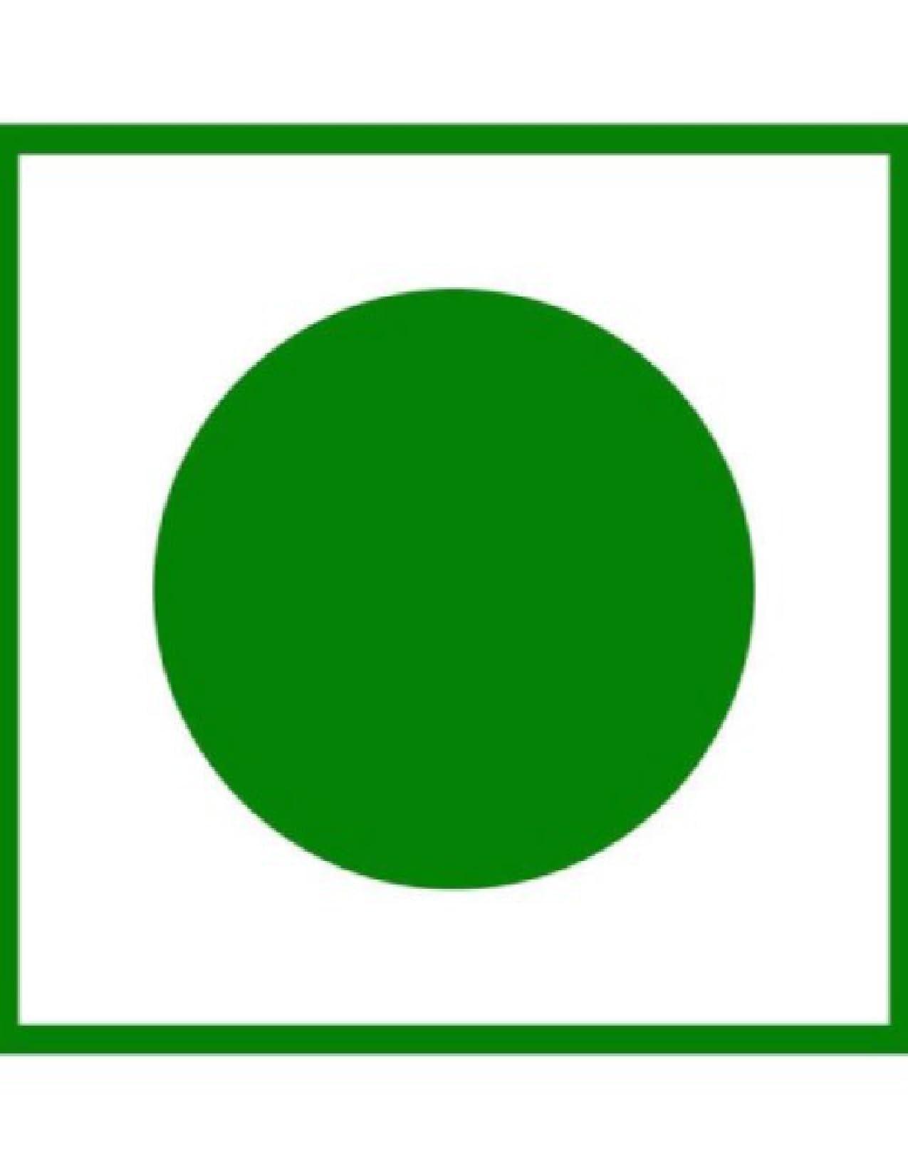 renewtria RENEWTRIA Cumin Seeds (1200 gms Jeera by The Natural Food) (1200g)