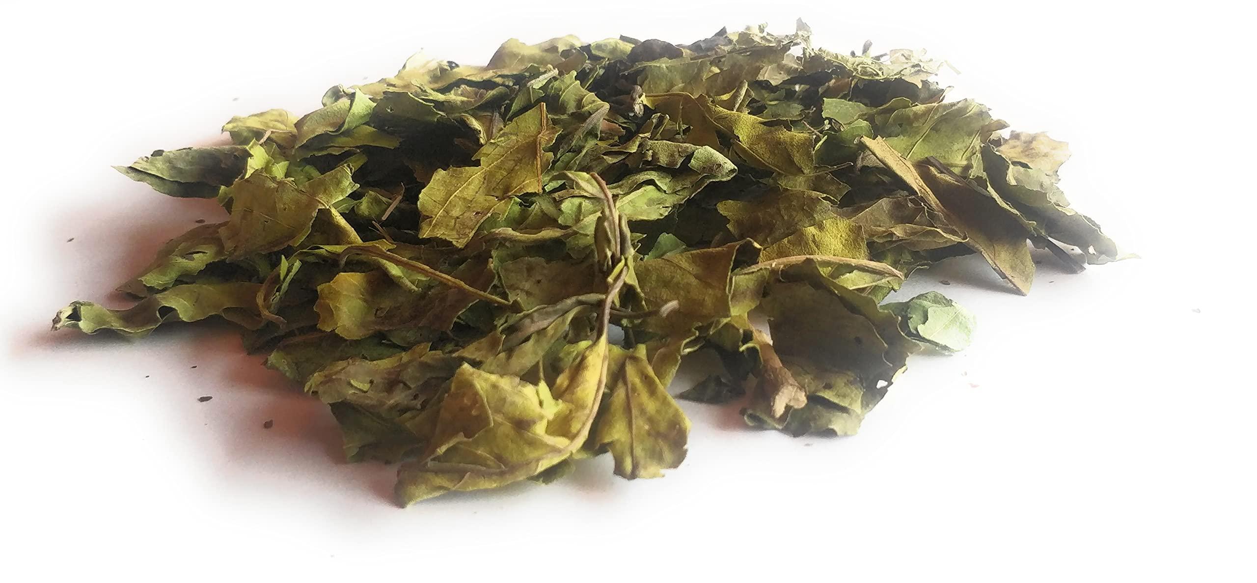 Ayushiv Ayushiv ADULSA LEAF (Justicia adhatoda) - Adusa - Adulsa- MALABAR NUT- VASA -ADHATODA VASICA - BANSA GREEN (200 GM)