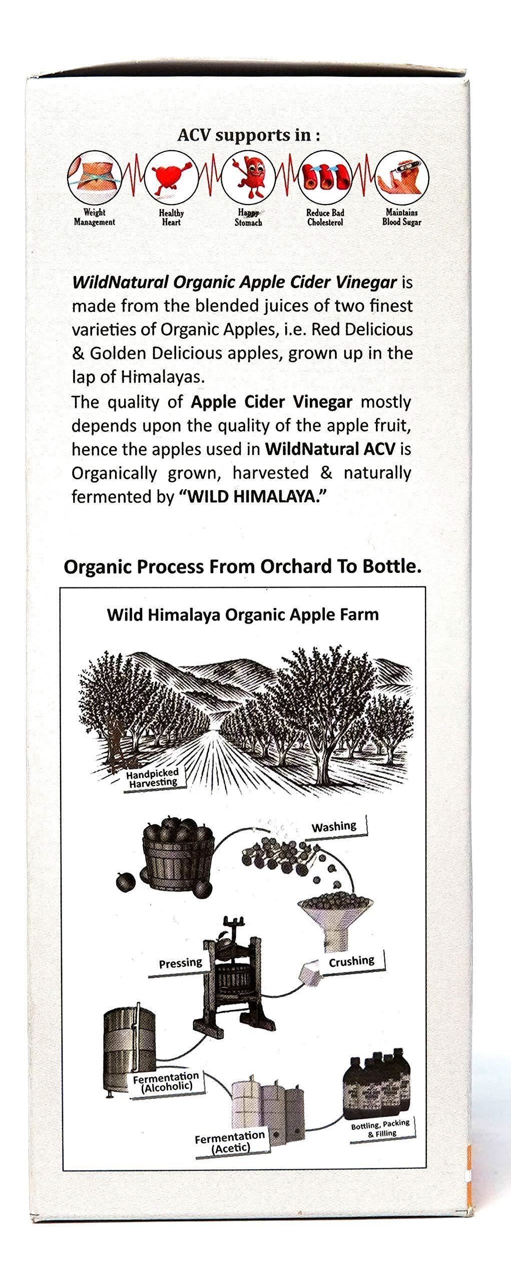 WildNatural WildNatural Organic Raw Unfiltered Unpasteurized Apple Cider Vinegar with Mother Vinegar