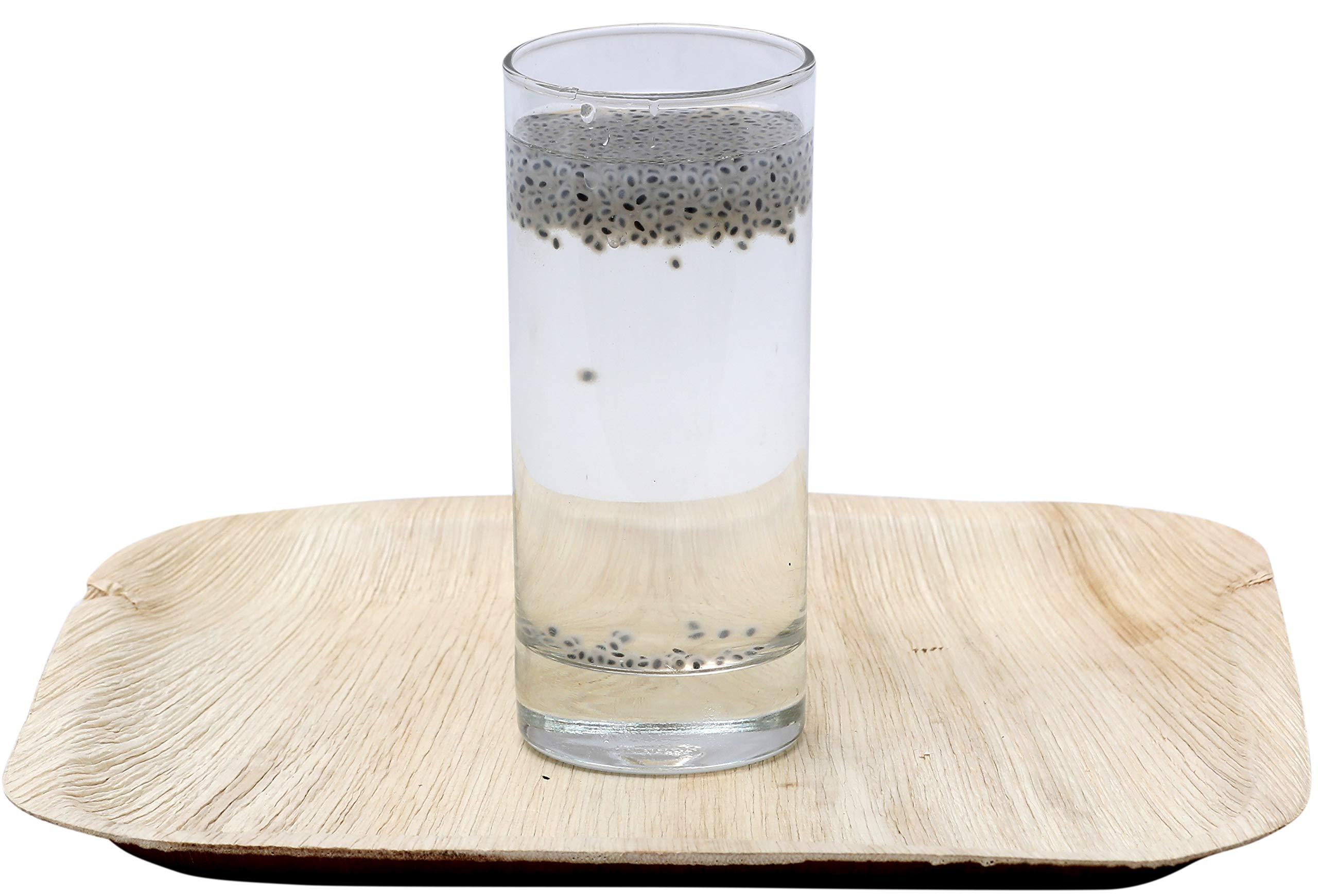 Dr Naram's Frutop Premium Khus Syrup 500g