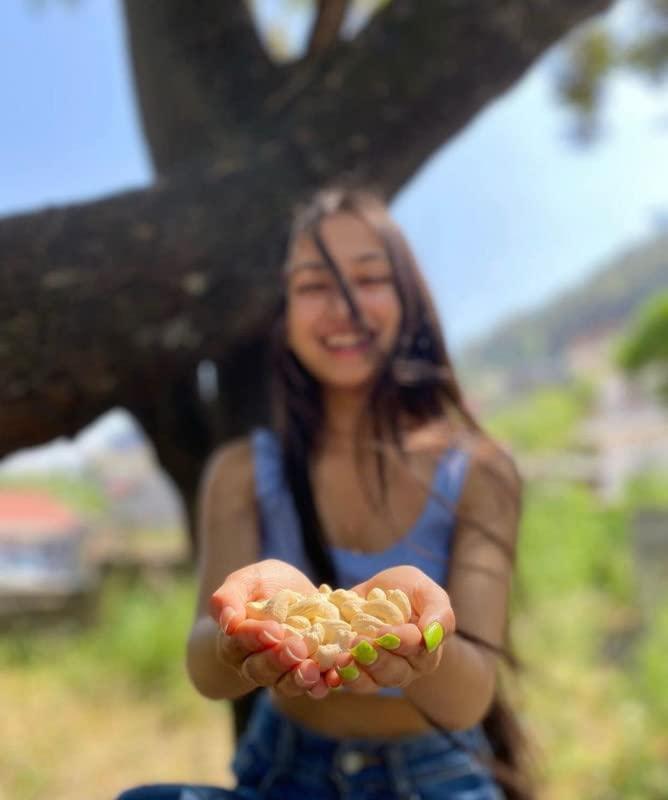 THE DRIED FRUIT COMPANY EAT HEALTHY STAY STRONGLY THE DRIED FRUIT COMPANY EAT HEALTHY STAY STRONGLY Cashews Kaju Kaaju Dry Fruits 100% Natural Premium Kaju Cashew Nuts Whole In Fresh 500Gm Naturally Tasty Increases Immunity