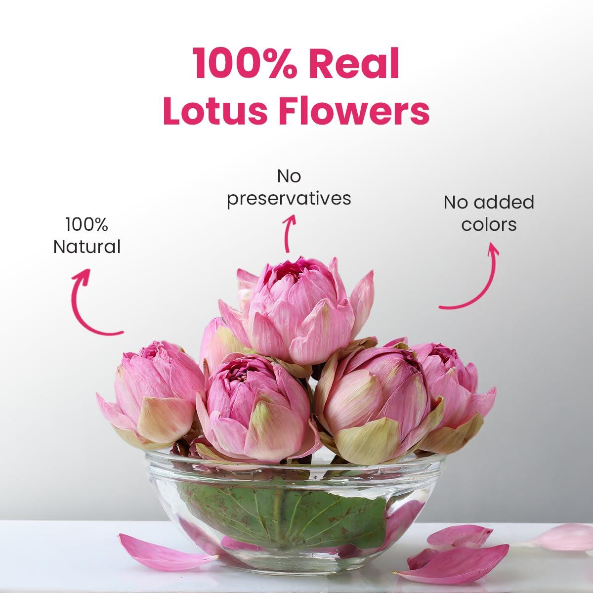 AVN Ayurveda AVN Norbepee Ayurvedic Tablets - An Ayurvedic, Herbal & Natural Formulation (120 Tablets)