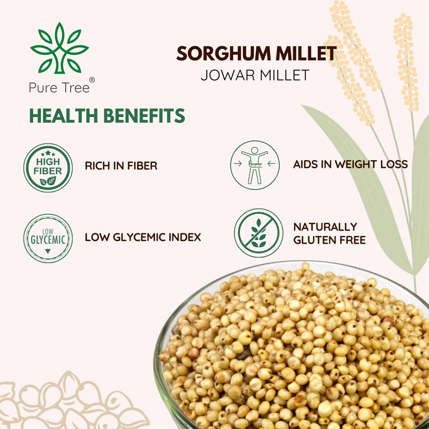 Pure Tree Pure Tree Certified Organic Jowar Millet | 900 g | Sorghum Millet | Jawari Whole Grain | Jowar Organic Unpolished Millet Jonnalu | Gluten-Free Organic Millet
