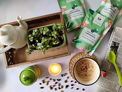 Beany Boy Beany Boy Cardamiya combo of 2 - Cardamom Premium Flavoured Instant Coffee