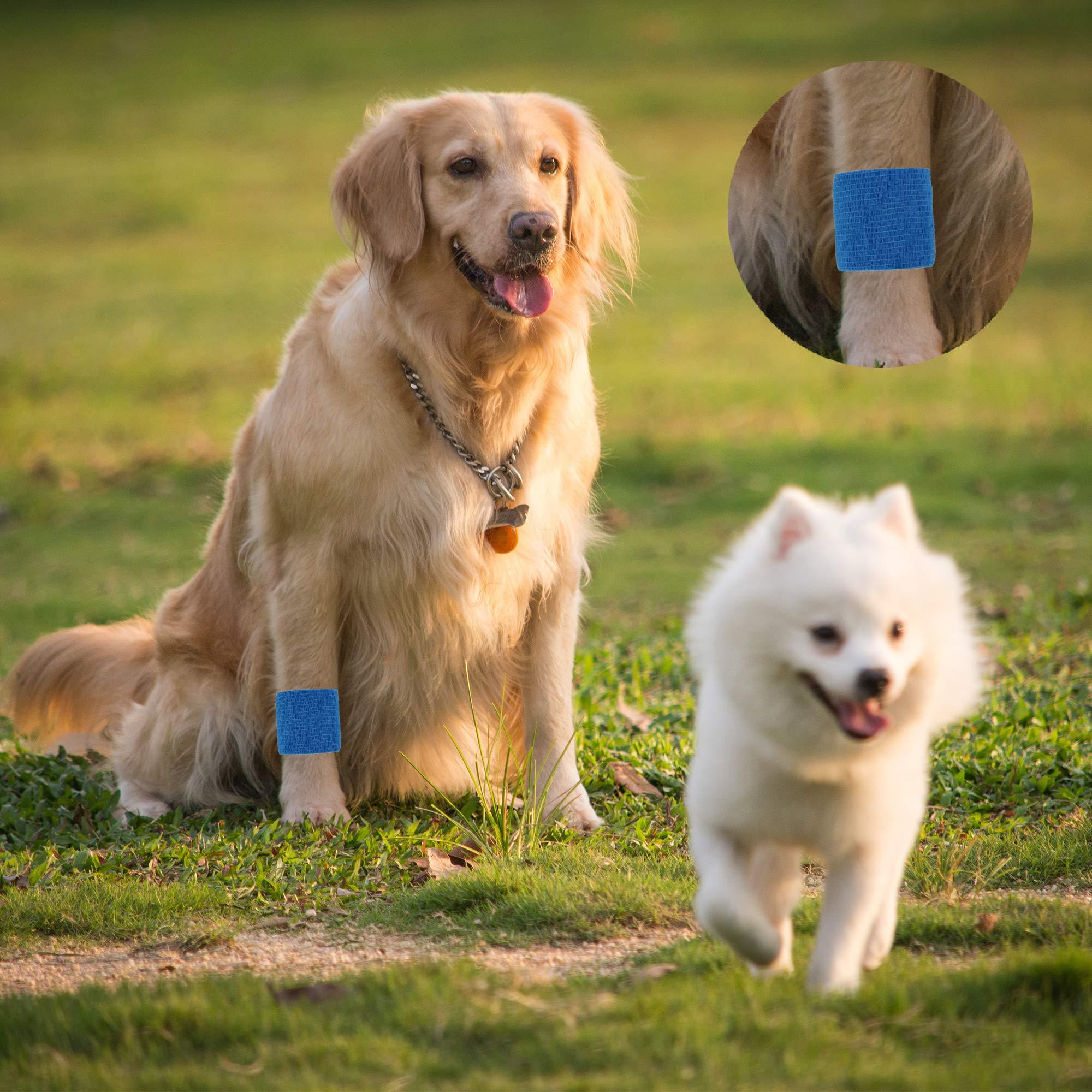 Mooerca Self Adherent Cohesive Wrap Bandages 2 Inches X 5 Yards, 12 Count, First Aid Tape, Elastic Self Adhesive Tape, Athletic, Sports wrap Tape, Bandage Wrap for Sports, Wrist, Ankle (Rainbow Color)