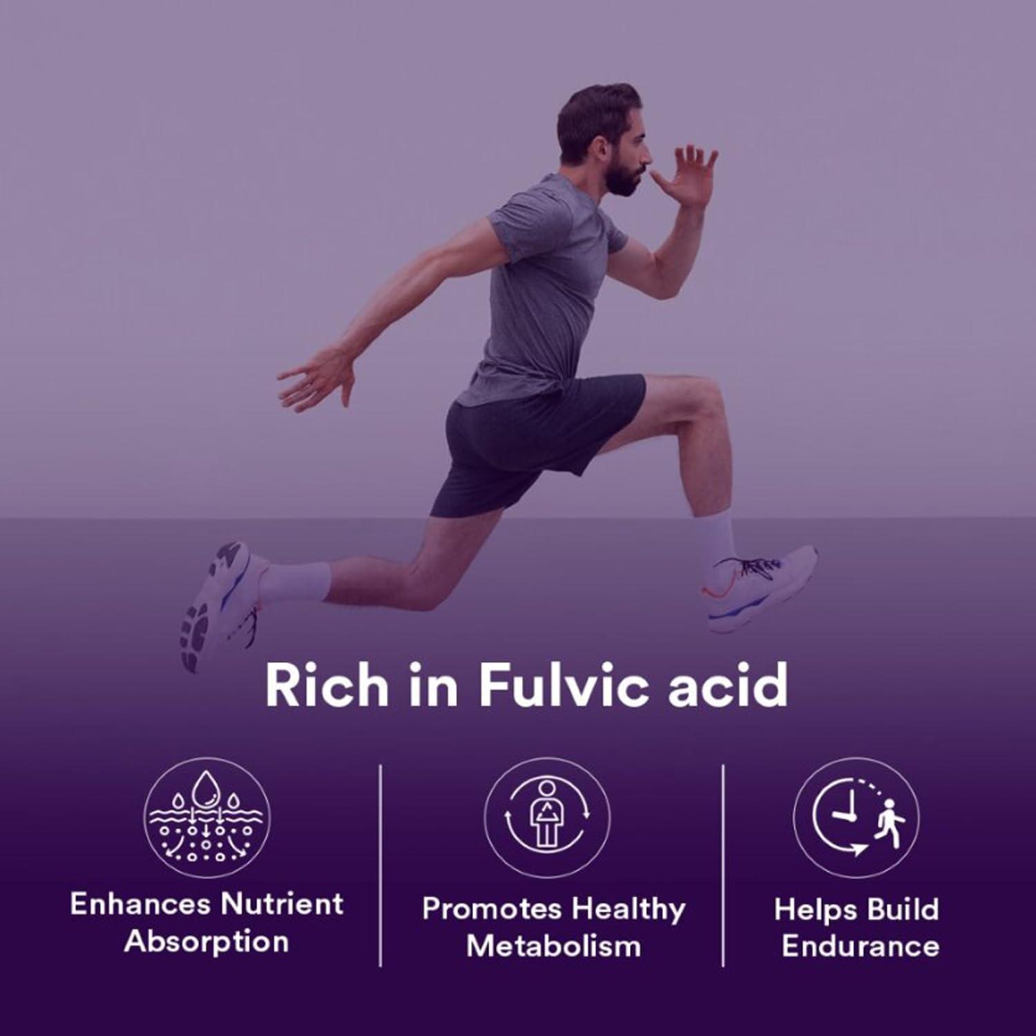 Baidyanath Asli Ayurved Baidyanath Asli Ayurved Himalayan Shilajit/Shilajeet Resin 20Gm - 100% Ayurvedic | Performance Booster For Endurance And Stamina