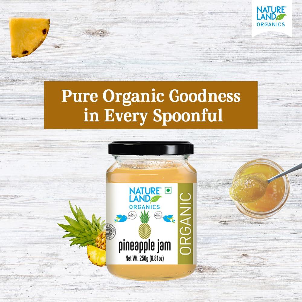 NATURELAND ORGANICS Natureland Organics Pineapple Jam 250gm - Healthy Organic Jams