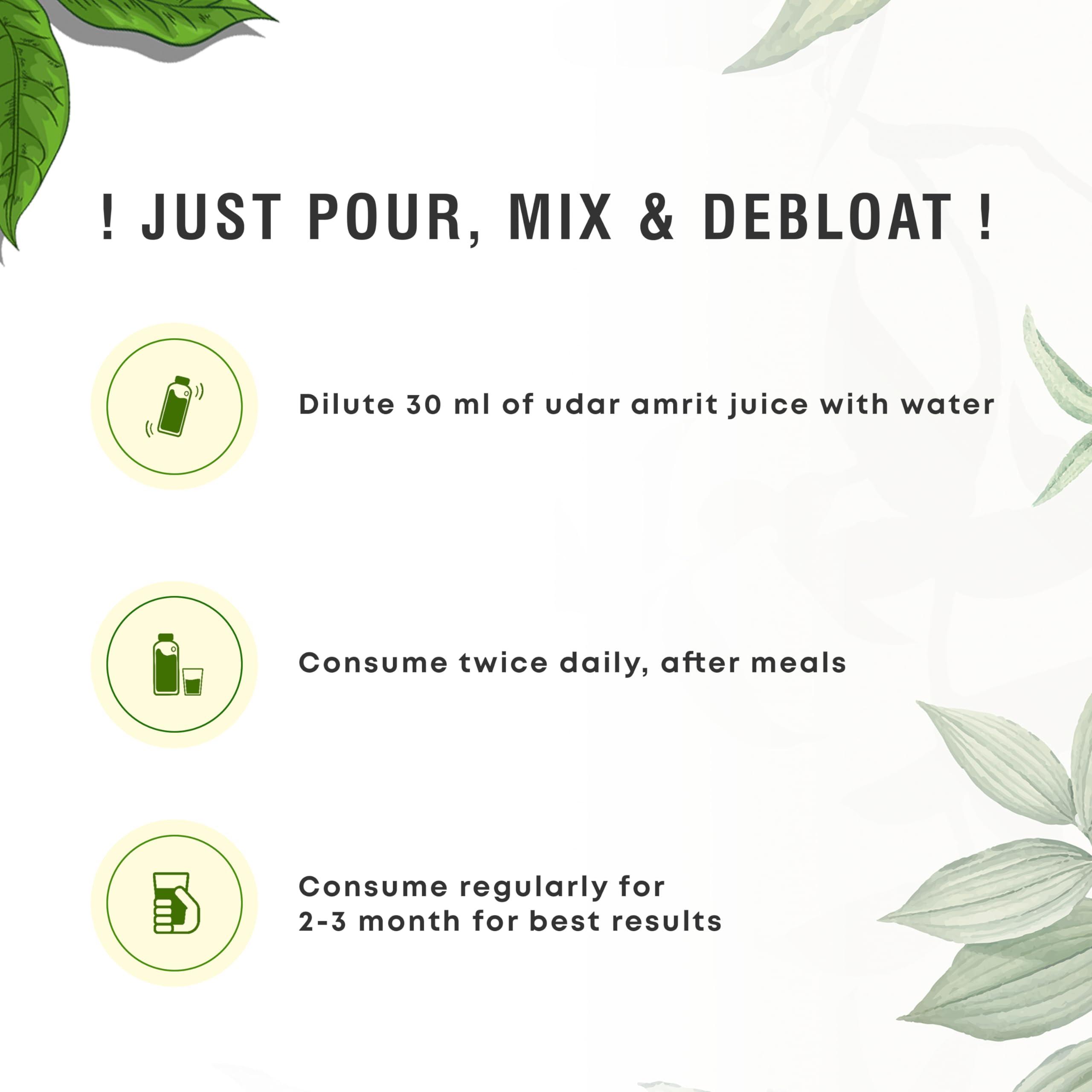 Four Seasons Four Seasons Ayurveda Udar Amrit Juice, Digestive Care Juice | Provides Relief From Acidity & Bloating | Aid Digestion and Metabolism 1000ml (PACK OF 2)