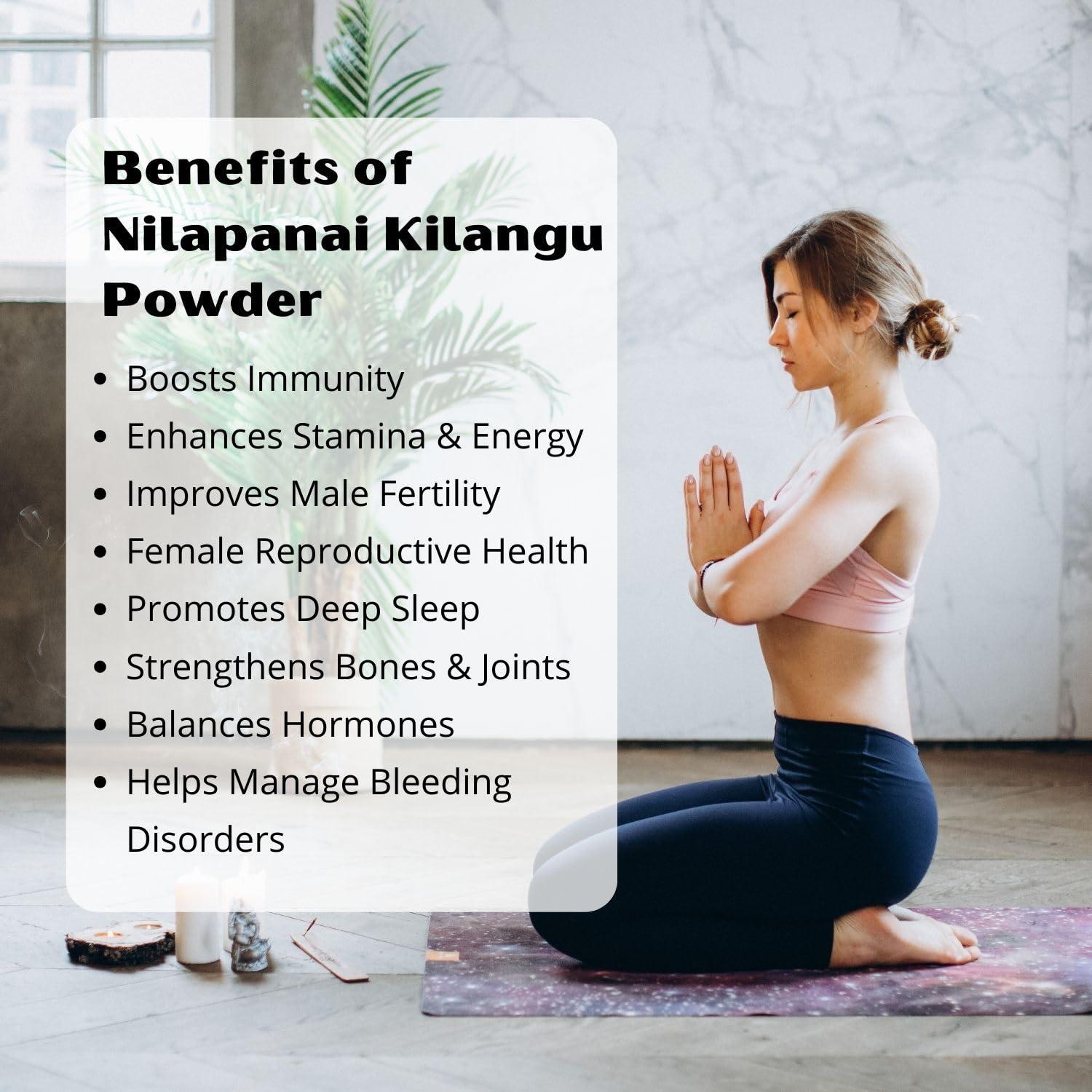 neotea Neotea Nilapanai Kilangu Powder | Black Musli (Kali Musli) | Curculigo Orchioides | Nelpana | Nelamuli Musli | Natural Nelatadi | Boosts Energy & Stamina | Improves Immunity | Supports Reproductive Health | Bone & Joint Support | Healthy Digestion 30