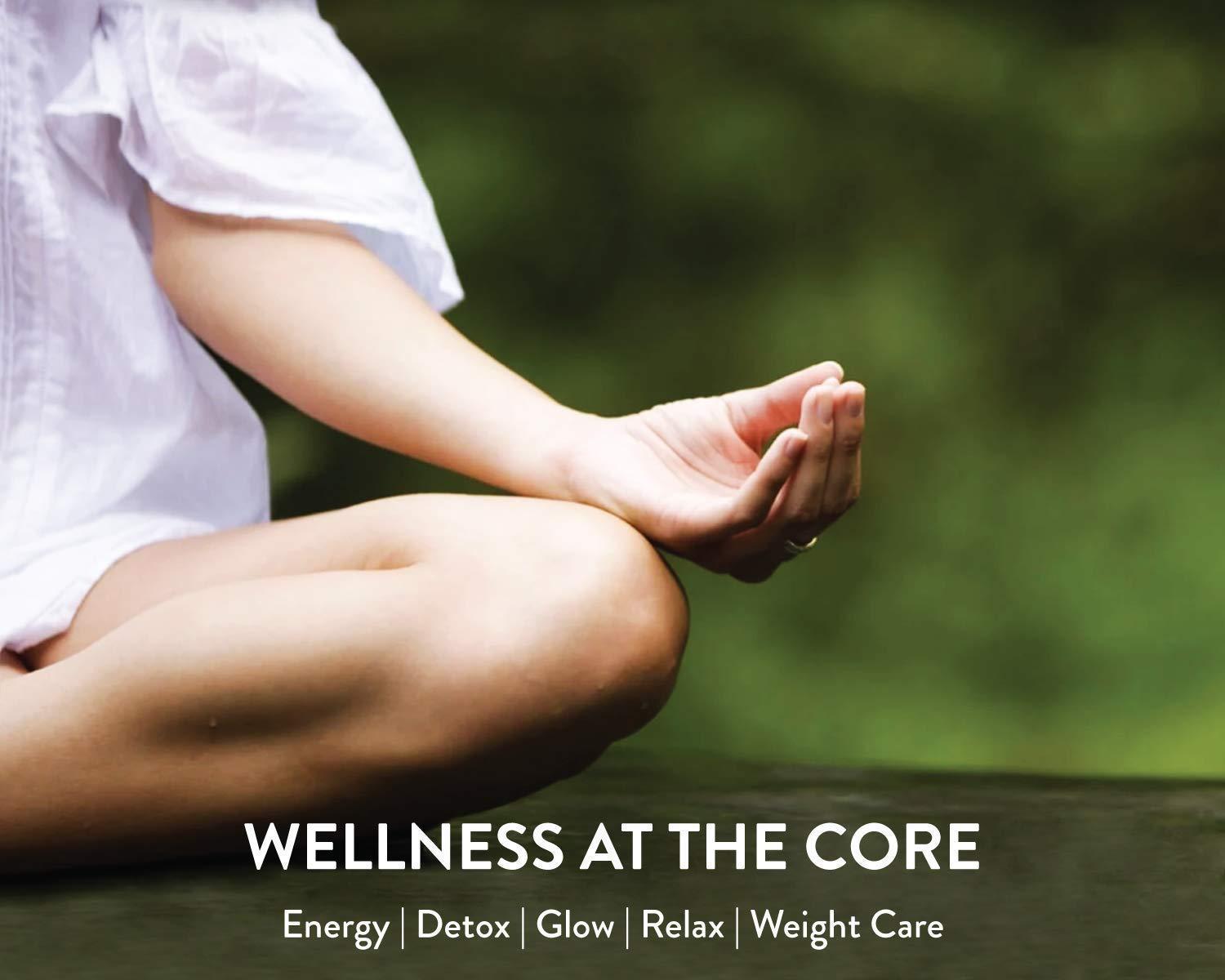 Khadi Kangra Valley Khadi Kangra Valley Ginger Green Tea, Combo Pack (2 Box) -AMZ029