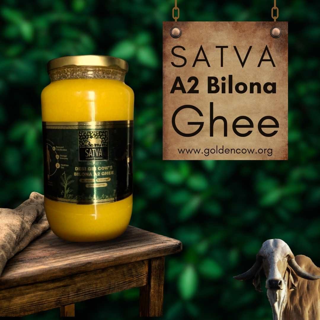 KRISHI MANTRA KRISHI MANTRA A2 BILONA GHEE - 1 Litre Pure Gir Cow\'s A2 Ghee for Immunity, Vitality, and Better Digestion - Rich in A2 Protein and Vitamin K - Experience the Benefits of Traditional Bilona A2 Ghee Today! 1000 ML + 500 ML