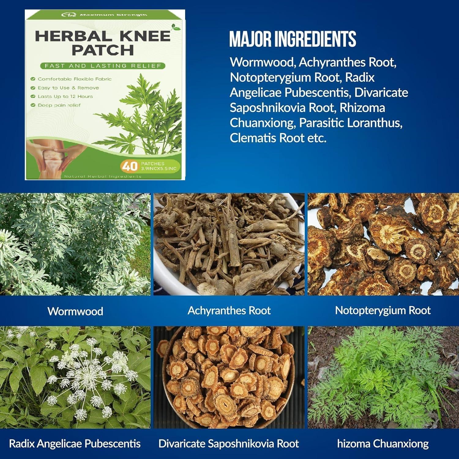 FI FIDROXIMPERIA PAIN RELIEF KNEE 20 PATCHES Herbal Knee Plaster Sticker Pain Relief and Inflammation Patches Joint Knee Relief Patches Kit Natural Wormwood Extract Sticker Knee Pain Relief Patches (Pack Of 20)