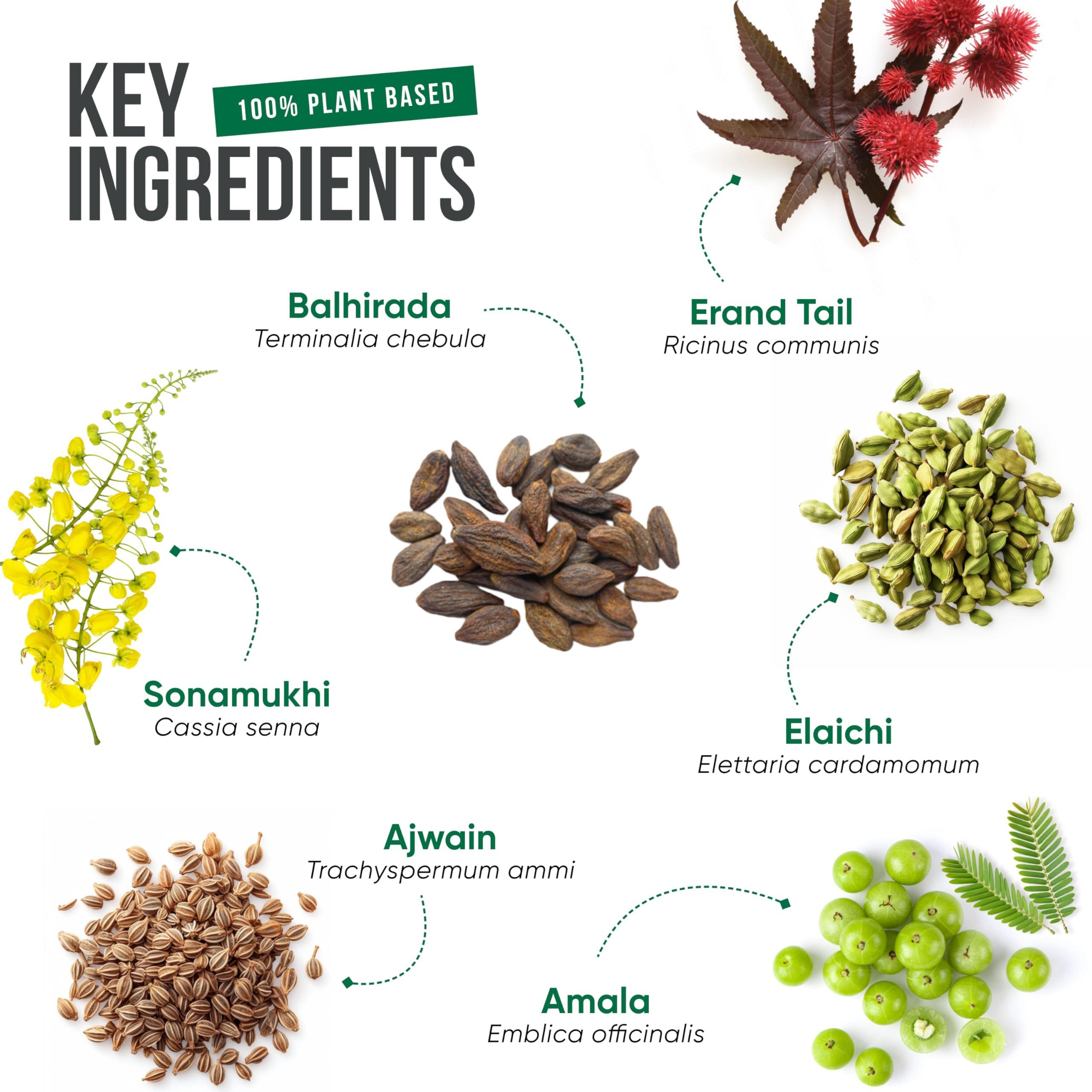 Healing Hands Healing Hands Constac for Relief in Mild Constipation, Acidity and Gas, Plant Based Natural Constipation Solution, Clinically Proven, Herbal 100gm (Granules)