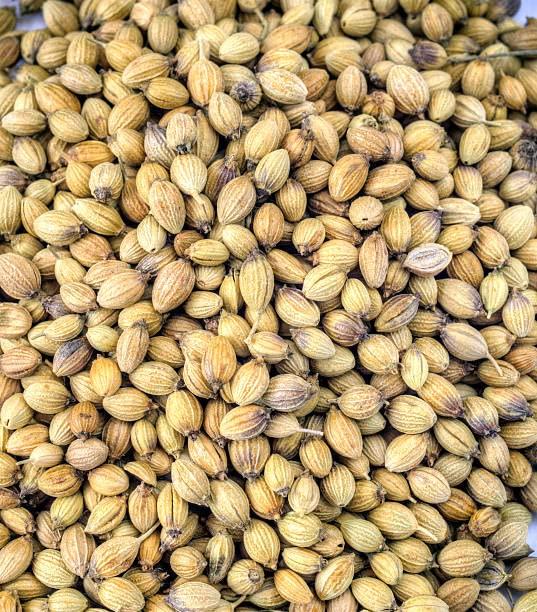 Awadh Awadh- Organic Coriander Seeds 200g Premium Whole Dhania Dania, Sabut Dhaniya, Dry Coriander Seed, Whole Spices, Dhania Whole
