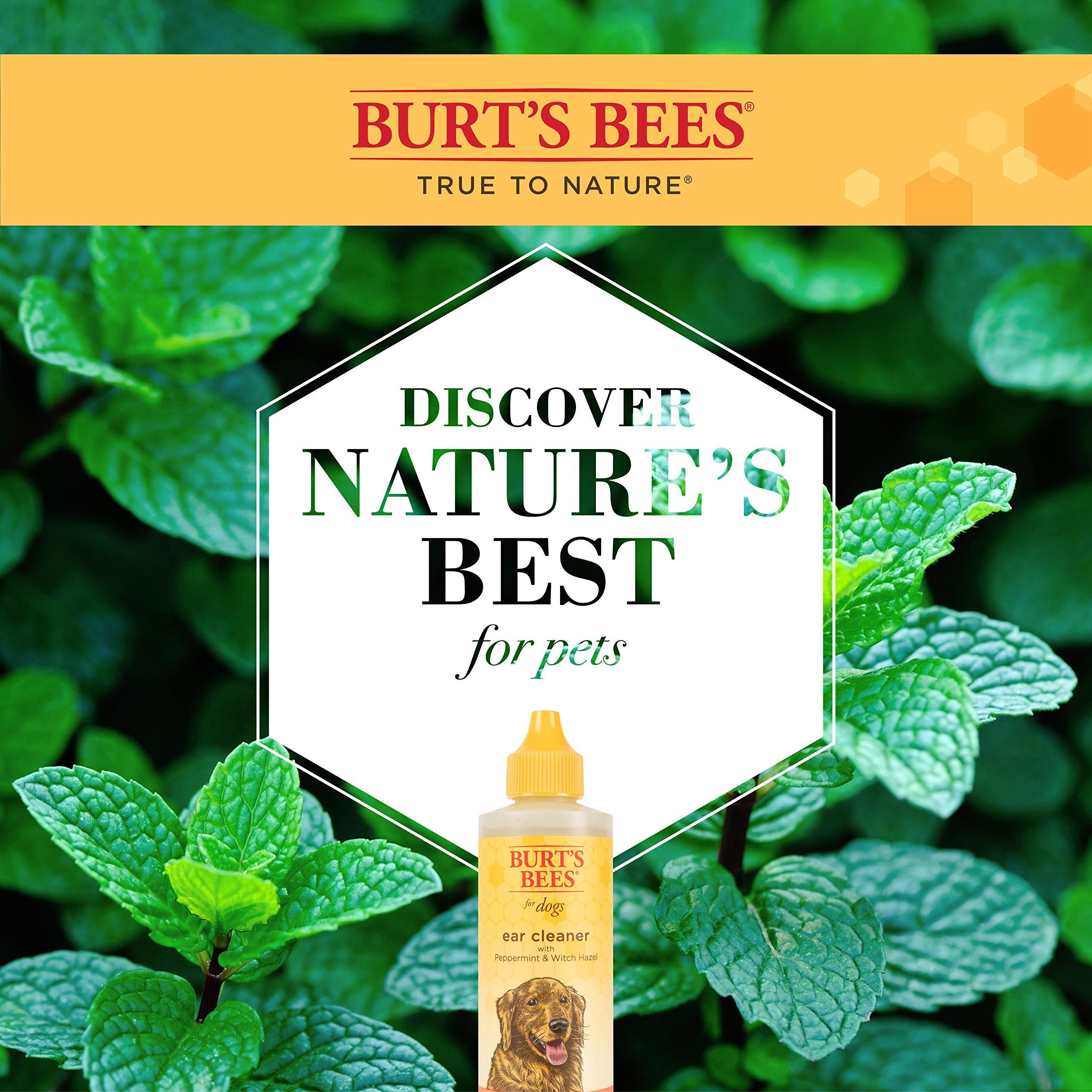 Burt\'s Bees Burts Bee Ear Cleaning, 4-Ounce