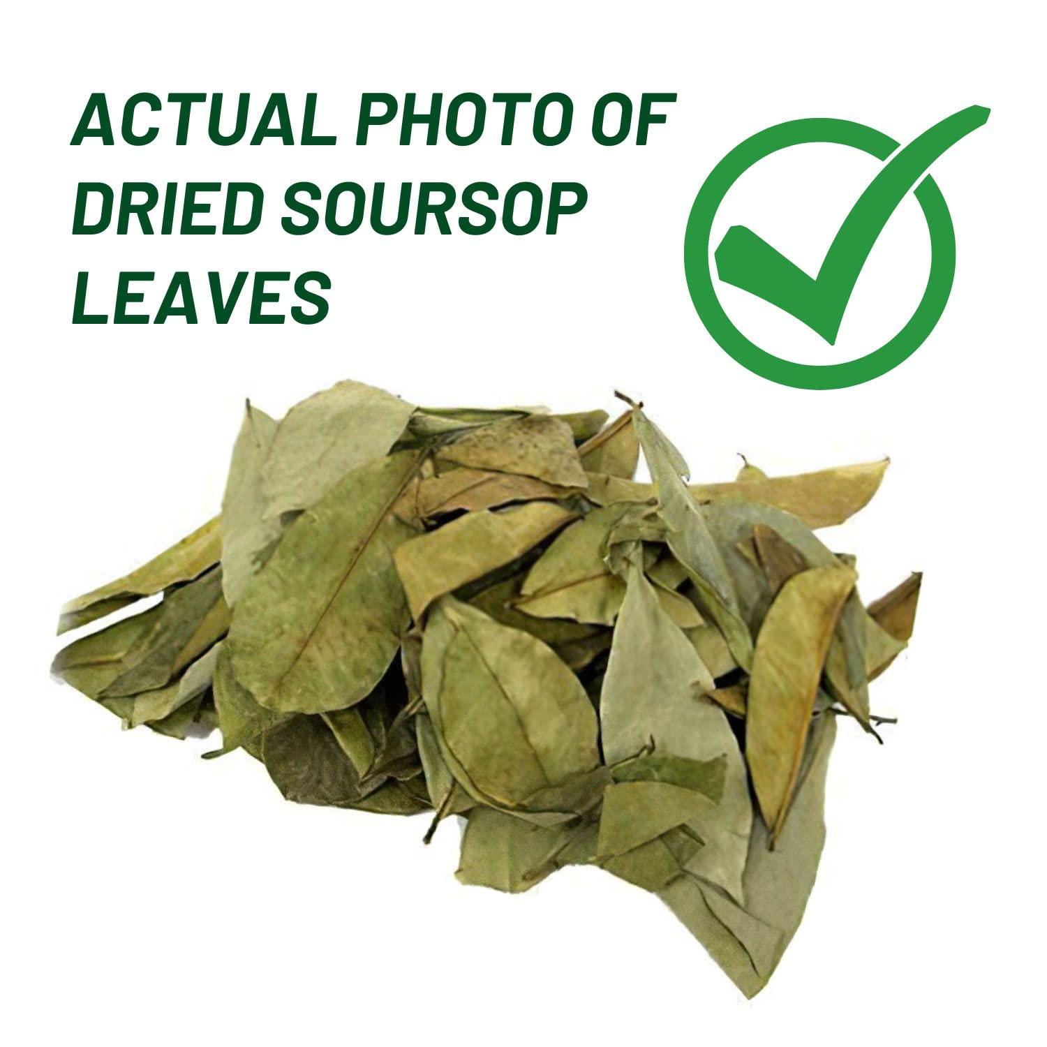 abamec Soursop Leaves, Graviola Soursop Dried Natural Leaves, 100% Natural and Handpicked Freshly Dried Soursop (Guanabana) Leaves (300 Leaves)