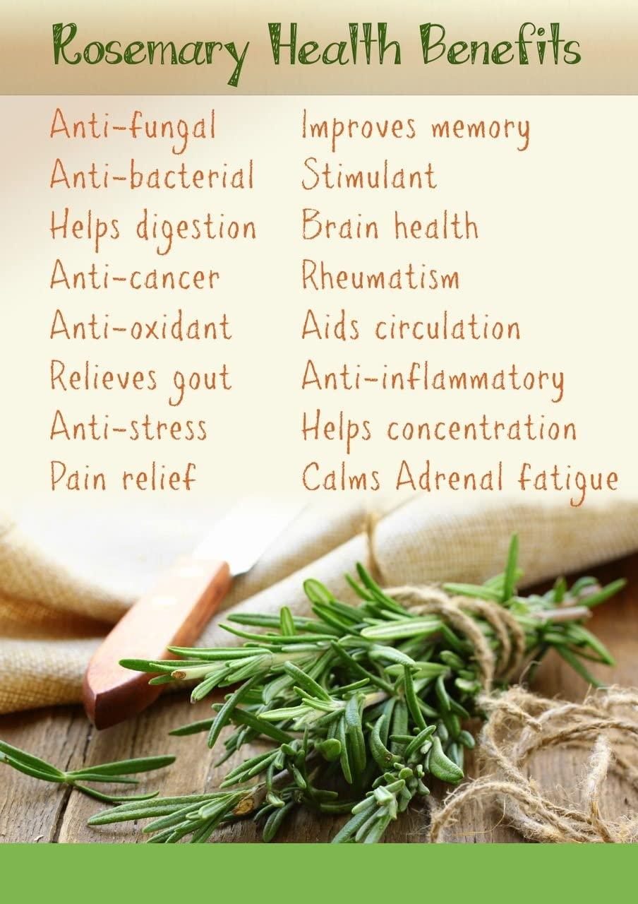 Indiana as offered by nature Indiana Rosemary Dried Leaves with Applicator For Hair Growth | Rosemary Herb Tea | Organic | Natural (400gm)