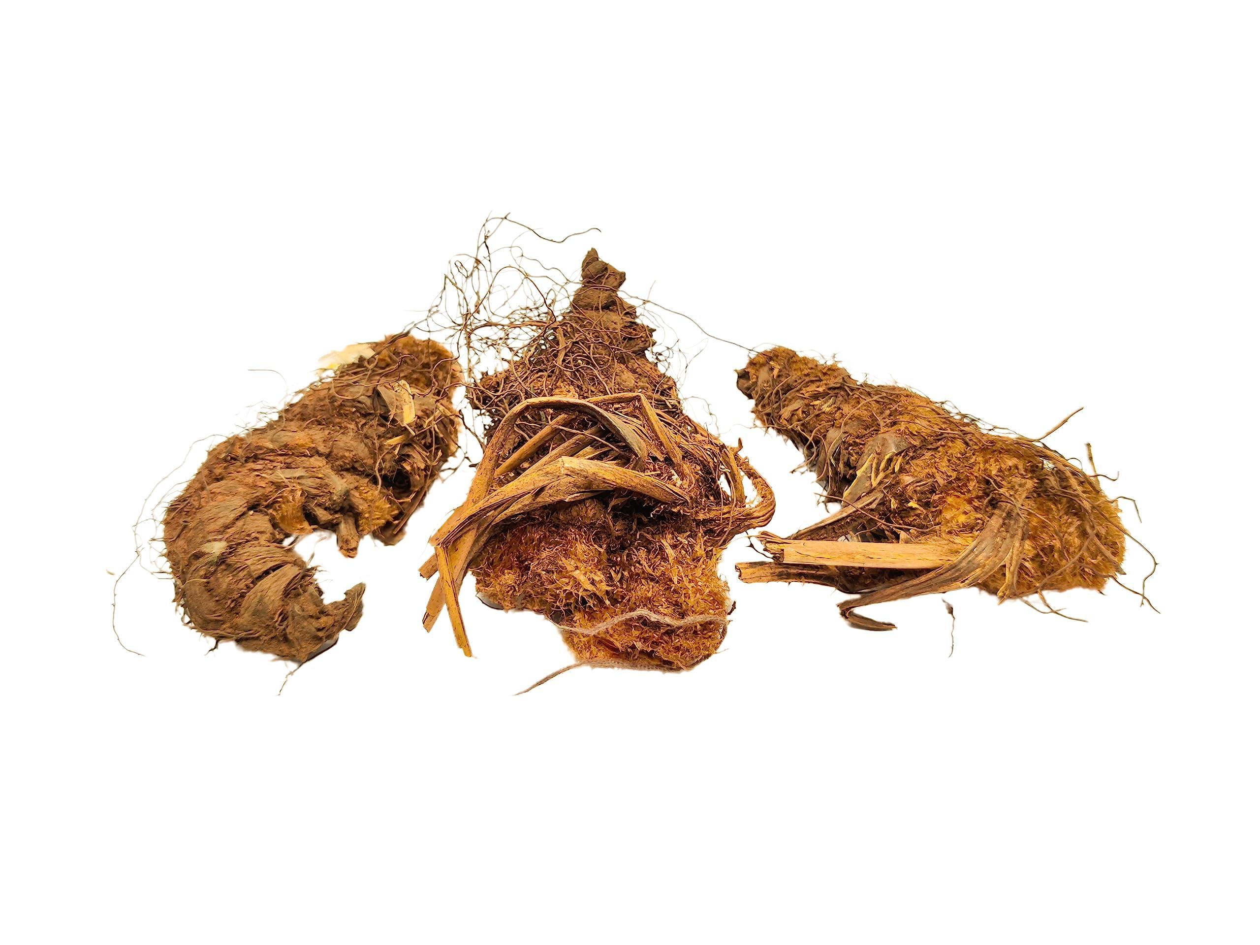 Generic PINAK || 100% Orignal Organic Jatashankari Roots || Pure Jatashankari Herb || JATASHANKAR || (Dried) || ||