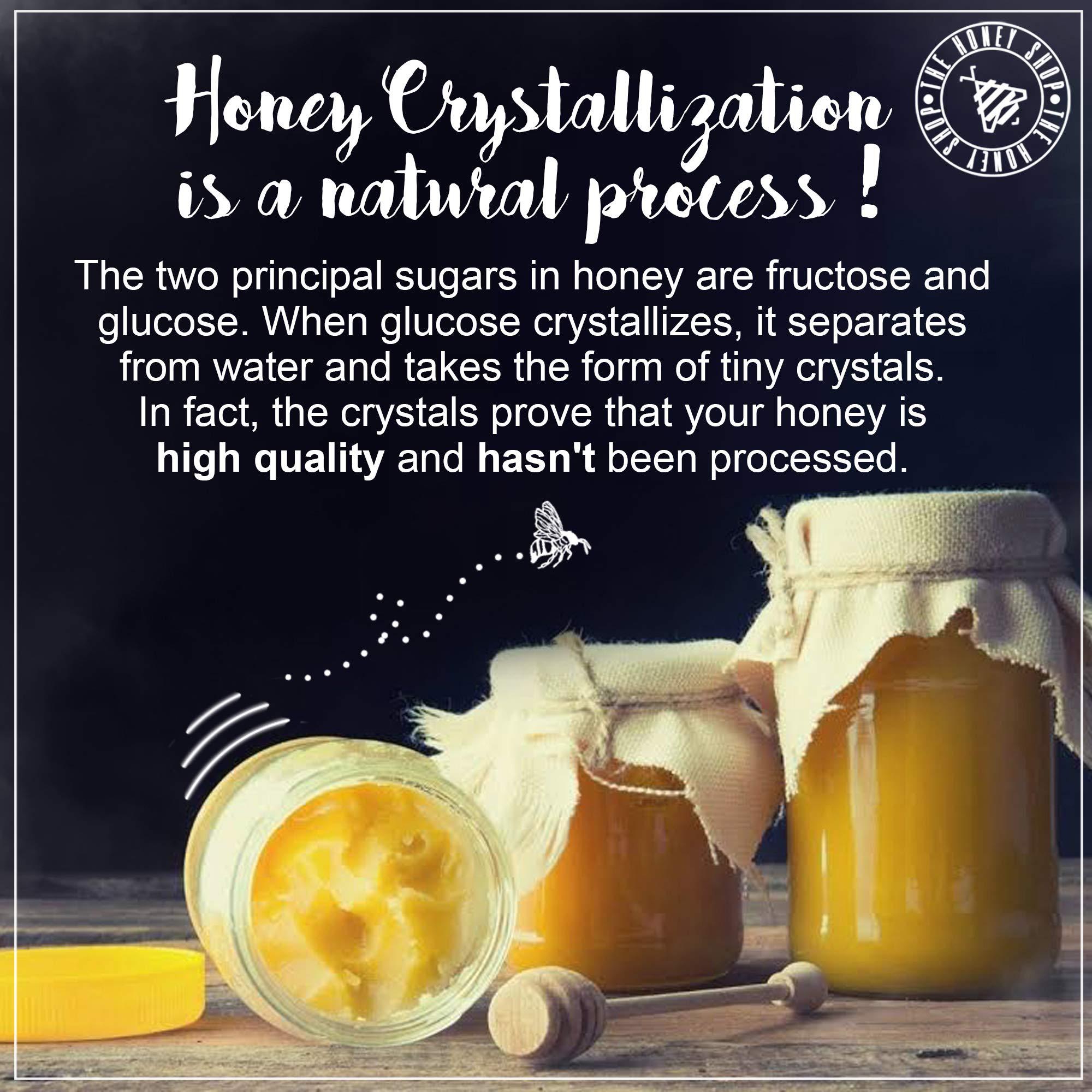 The Honey Shop THE HONEY SHOP Raw Organic Forest Honey, Wild, Unprocessed, Unheated, Non Pasteurized, Original Honey 100% pure and Natural, Collected From Deep Forest Apis Dorsata (700g) - Pack of 1