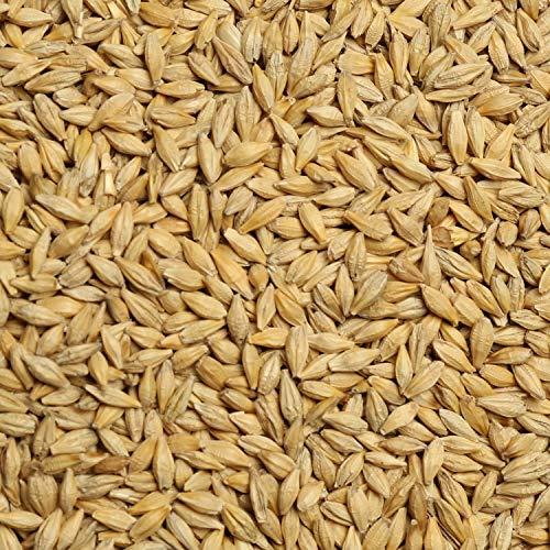 NaturePlatter NaturePlatter Raw Barley Seeds - 5Kg | Jau