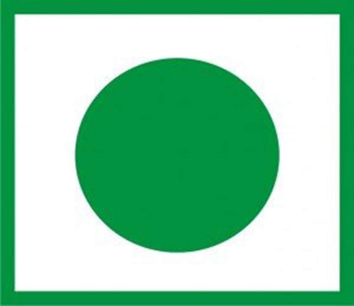 Ashoka Ashoka 100% Natural Corn Flour Powder 100 gm, Corn Starch, Cholam Powder, Makkai Flour (Pack of 5)