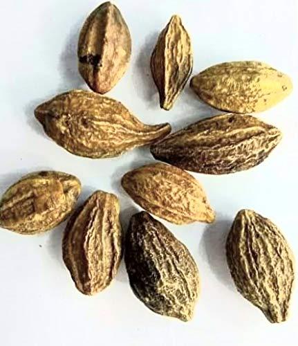 Karolane KAROLANE Peeli Harad Harida Haritaki Terminalia Chebula 150g