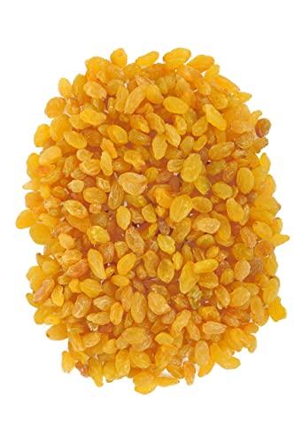 SONAV FOODS Sonav Foods Premium Dried Golden Raisin | Dried Indian Yellow Kishmish, Pilli Kishmish | 2 pack of 250g total 500g