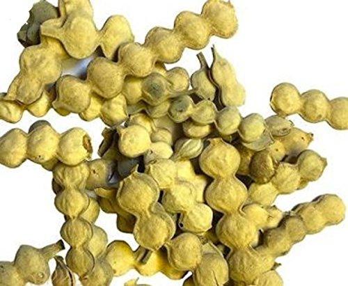 Hillbutiveda Babul Phali - 250 Grm - Kikar Fali - Babool Phali - Acacia Arabica - Babul Dry Pods - Kikar ki Fli -