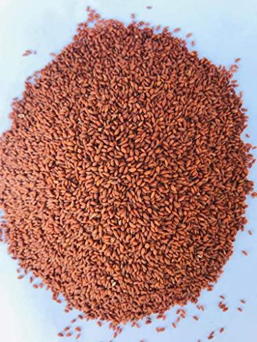 Dry Fruit Hub Dry Fruit Hub Halim Seeds 250gms, Halim Seeds Organic For Eating, Aliv Seeds, Aliv Seeds For Eating, Halim Seed, Garden Cress Seeds