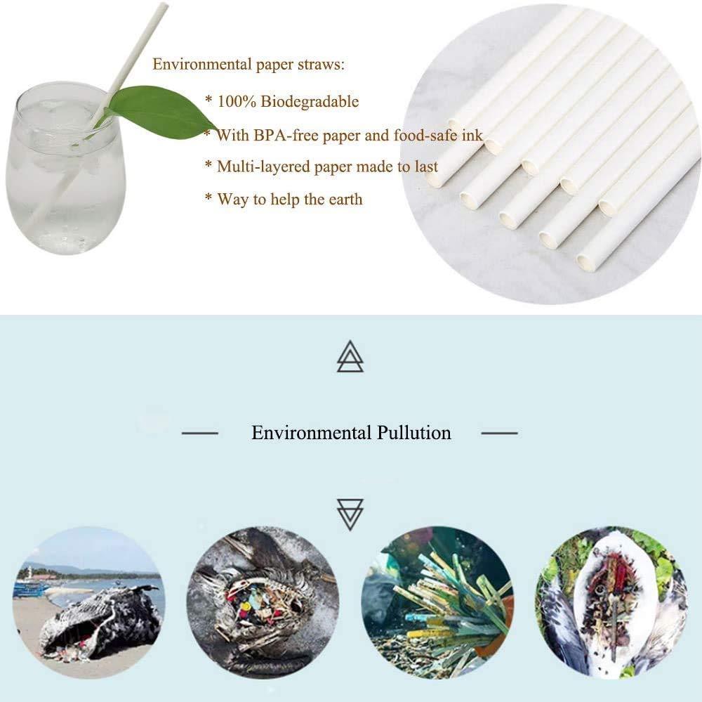VARADAA FDA Approved Paper Straw - 100% Biodegradable and Dye Free - Size 6mm x 200mm (200)