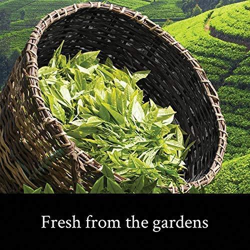Khadi Kangra Valley Khadi Kangra Valley Ginger Green Tea, Combo Pack (2 Box) -AMZ029