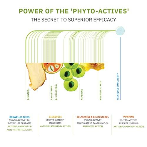 AlchemLife AlchemLife Flexiqule Emollient For Instant Relief From Joint Pain and Stiffness, 30 ml (Pack of 5)