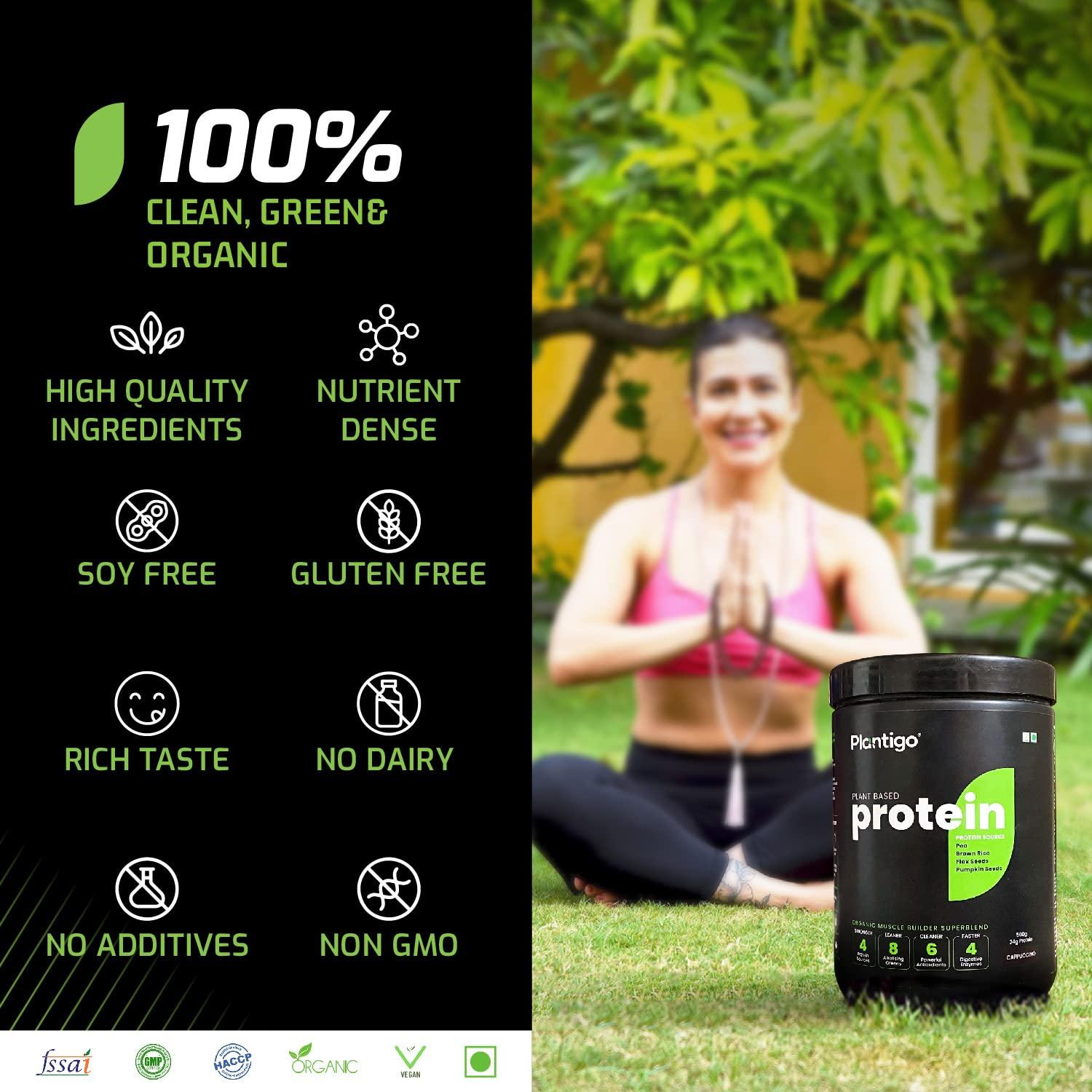PLANTIGO Plantigo Clean Protein Powder Men & Women | 24g Plant Protein, 4.4g BCAA, 2g Leucine, 4g Fiber | No Sugar, No Dairy, No Preservatives | 4x Fast Digest, Stress & Muscle Recovery | Swiss Chocolate 500g