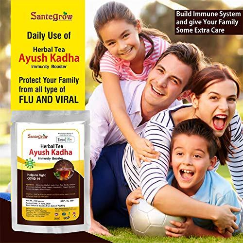 Santegrow Santegrow Ayush Kadha Immunity Booster Powder - Govt. Recommended Ingredients (Tulsi,Dalchini,Kali Mirch,Sonth)