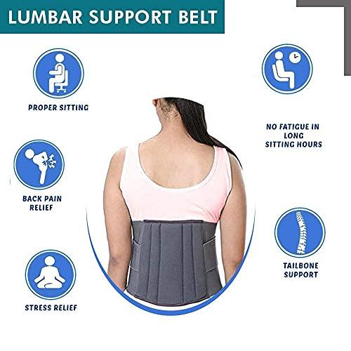 Oliver Oliver Lumbar Support LS Belt Double Pull Pressurized Lower Back Pain Relief Unisex (XL)