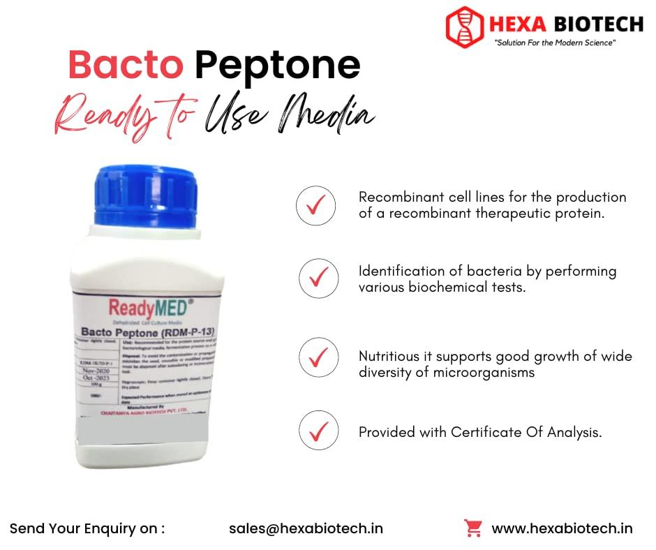 ReadyMED Bacto Peptone - ReadyMED 100g