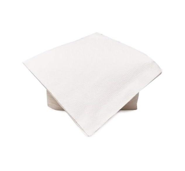 SAURAN Pack of 1 (2 PLY) Soft Paper Napkins (100 Napkins) White Paper (NP11)