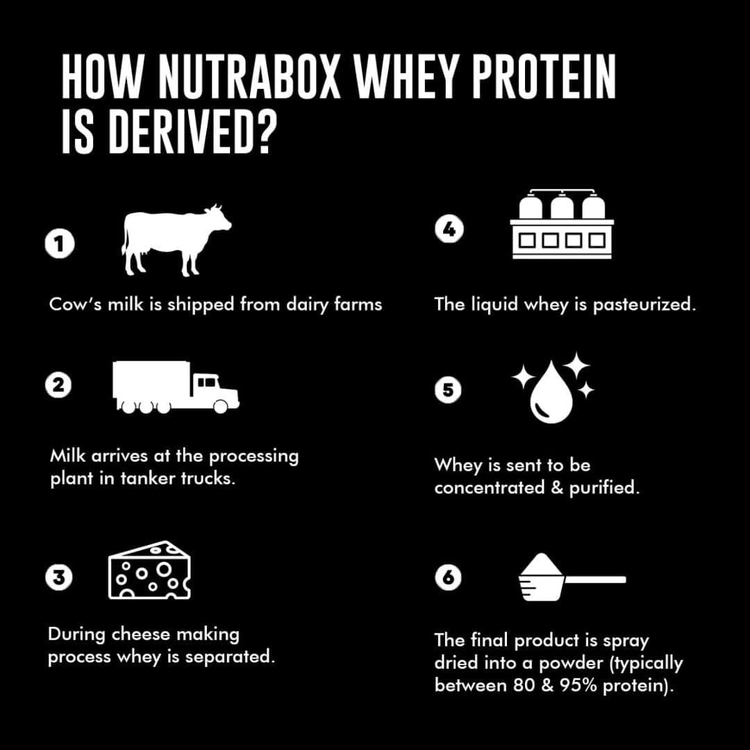 NUTRABOX Nutrabox 100% Whey Protein Powder (Alphonso Mango)