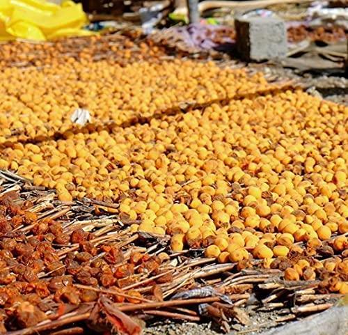 VIG VIG Dried Apricot Dry Fruits, Dried Apricot Soft and Big Size Khumani | apricots without shell Khumani Khubani (250 GM)
