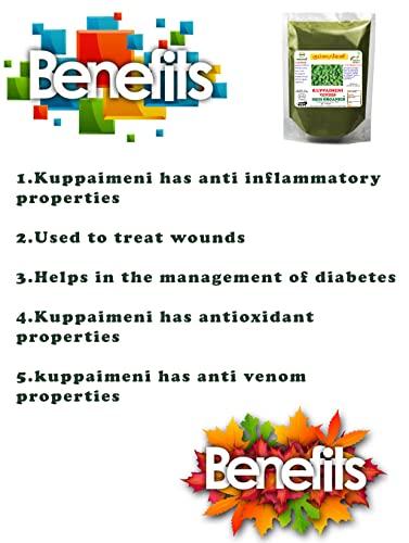 DIETS ORGANICS Diets Organics Kuppaimeni Powder -200 Gms | Acalypha indica/ Indian nettle Powder-200G pack of 1