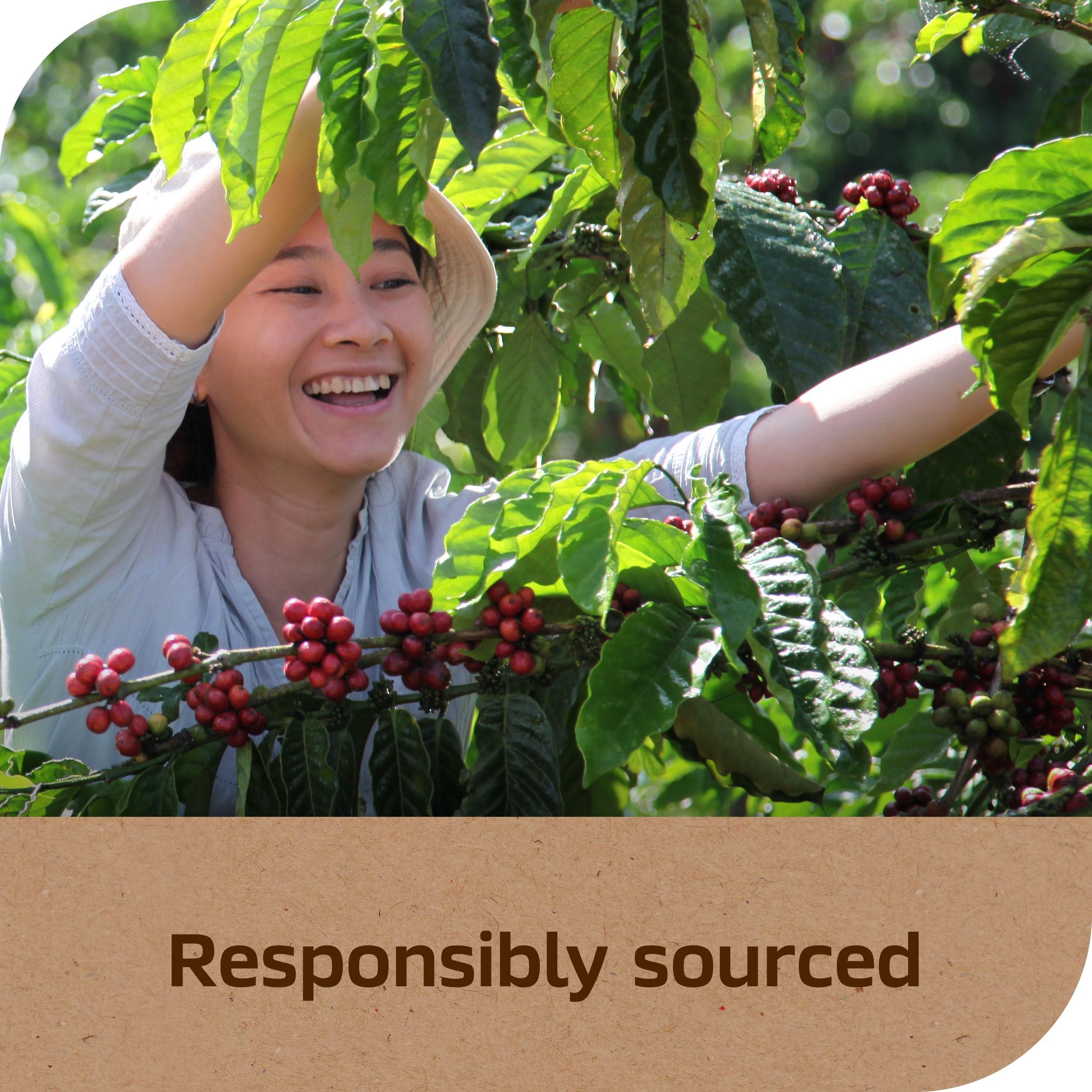 Nescafé Taster\'s Choice Nestle Nescafe House Blend Nescafe Instant Ground Coffee (7 Oz), Jar