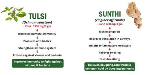 8848 SKinRange Ayurveda Ayush Kwath Immunity Booster