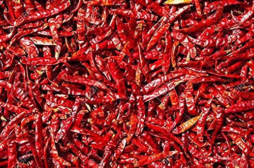 MR & SONS MJR Dry Guntur Mirchi - Hot Dried Red Chilli - 500 Grams/Sabut lal Mirch/Red Chilli Whole