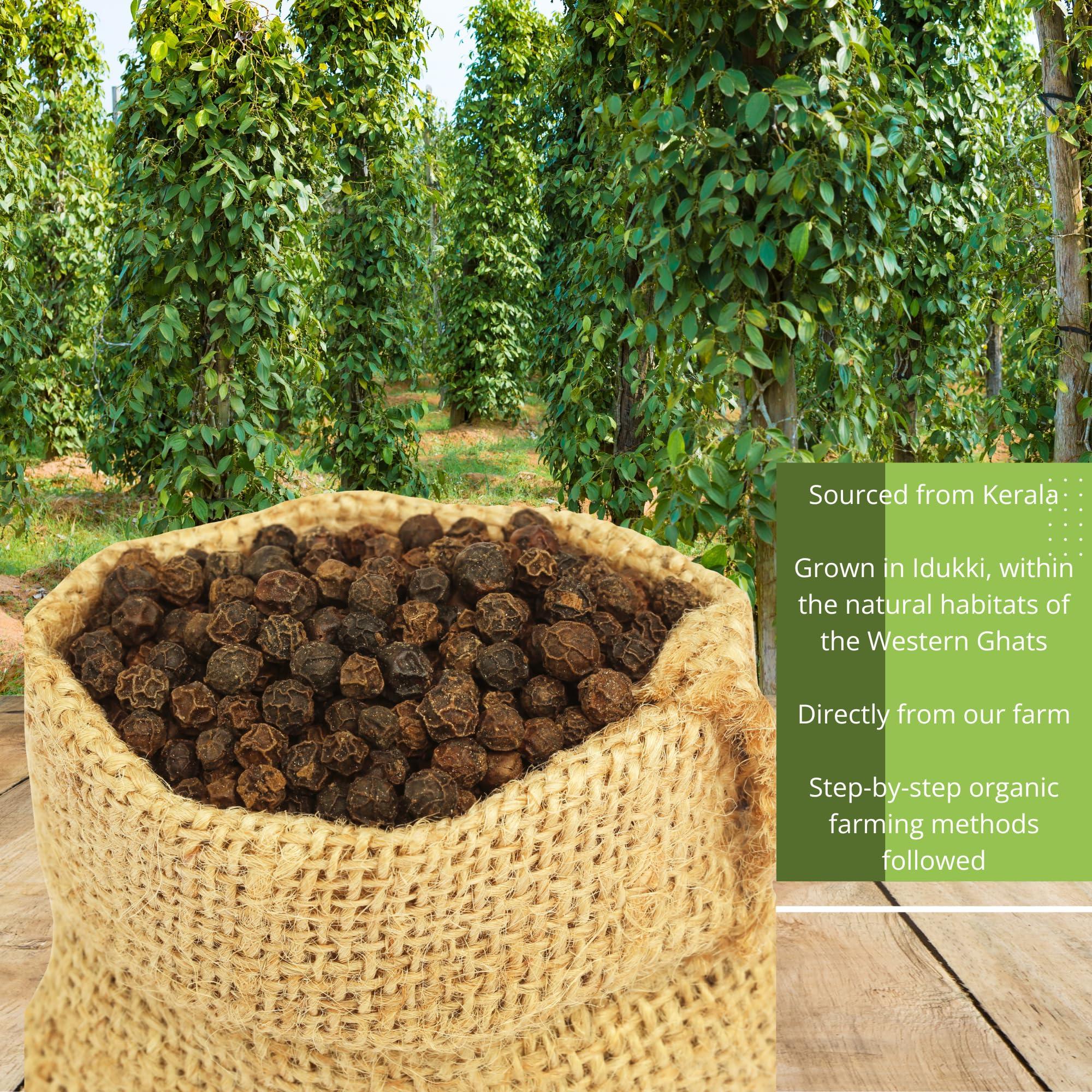 BOTLEAF BOTLEAF Black Pepper Powder 200 GM Fine Ground Pure Spicy and Hot Freshly packaged powder derived from matured berries of Malabar Peppercorns from our own farm Thellissery Kali Mirch Golki Gota Golmorich Kalimiri Miriyalu 200 gm