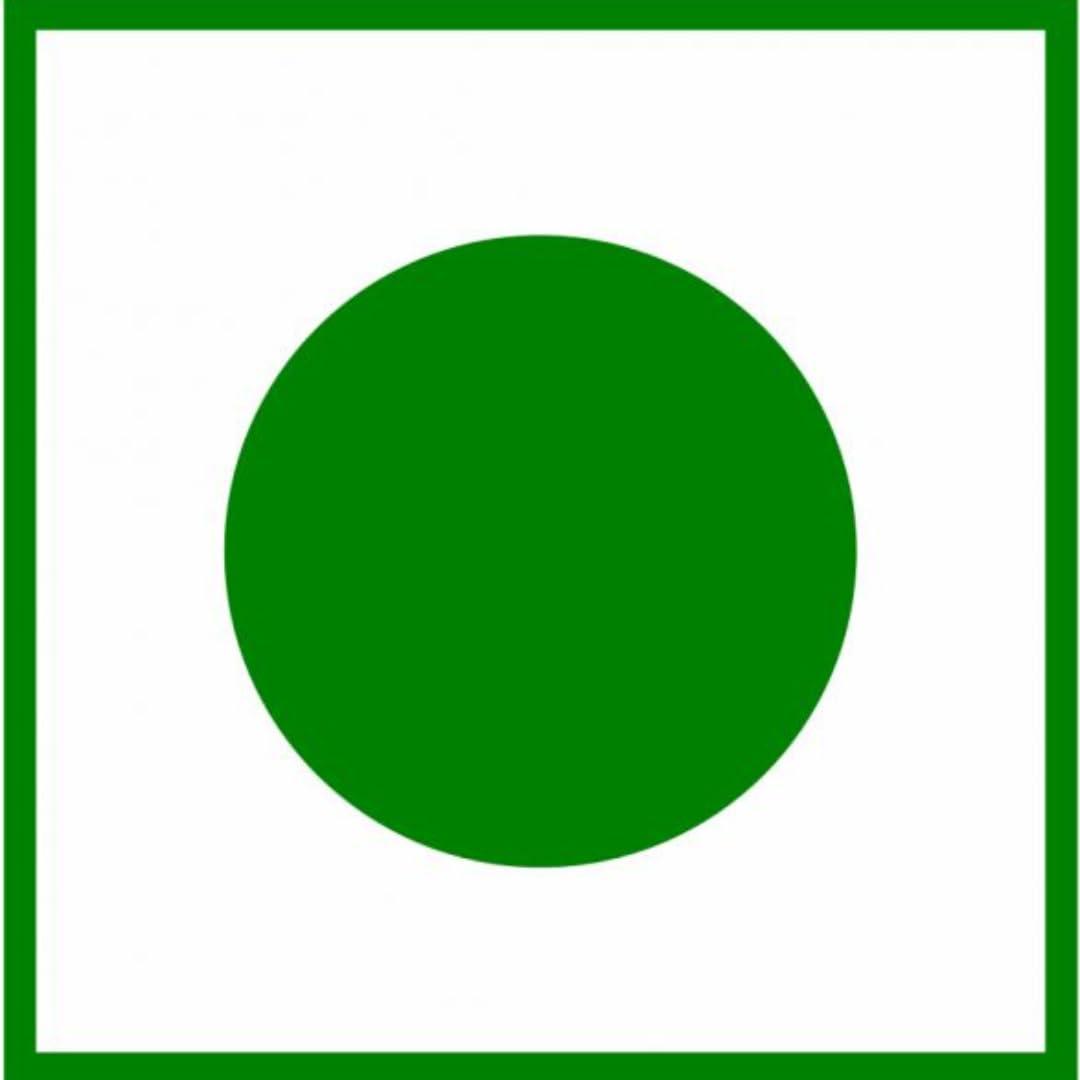 FOODNUTRA FOODNUTRA Premium Roasted Honey Coated Flavoured Cashew Healthy and testy Kaju (1000g)