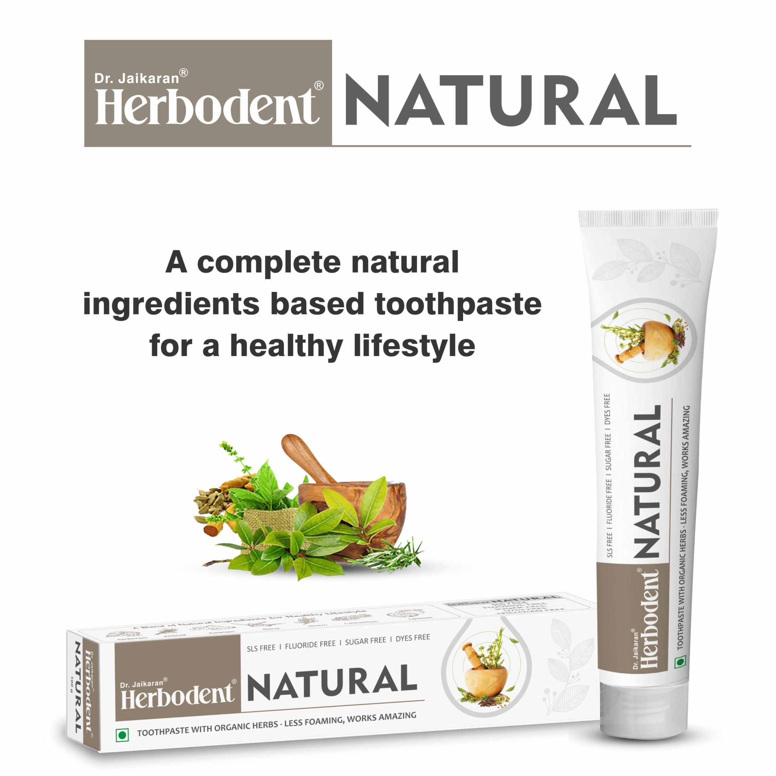 Herbodent Herbodent Natural Toothpaste - 100g Pack of 2 | Less Foaming, Works Amazing | SLS Free | Fluoride Free | Herbal Toothpaste with Neem, Clove & More Herbs