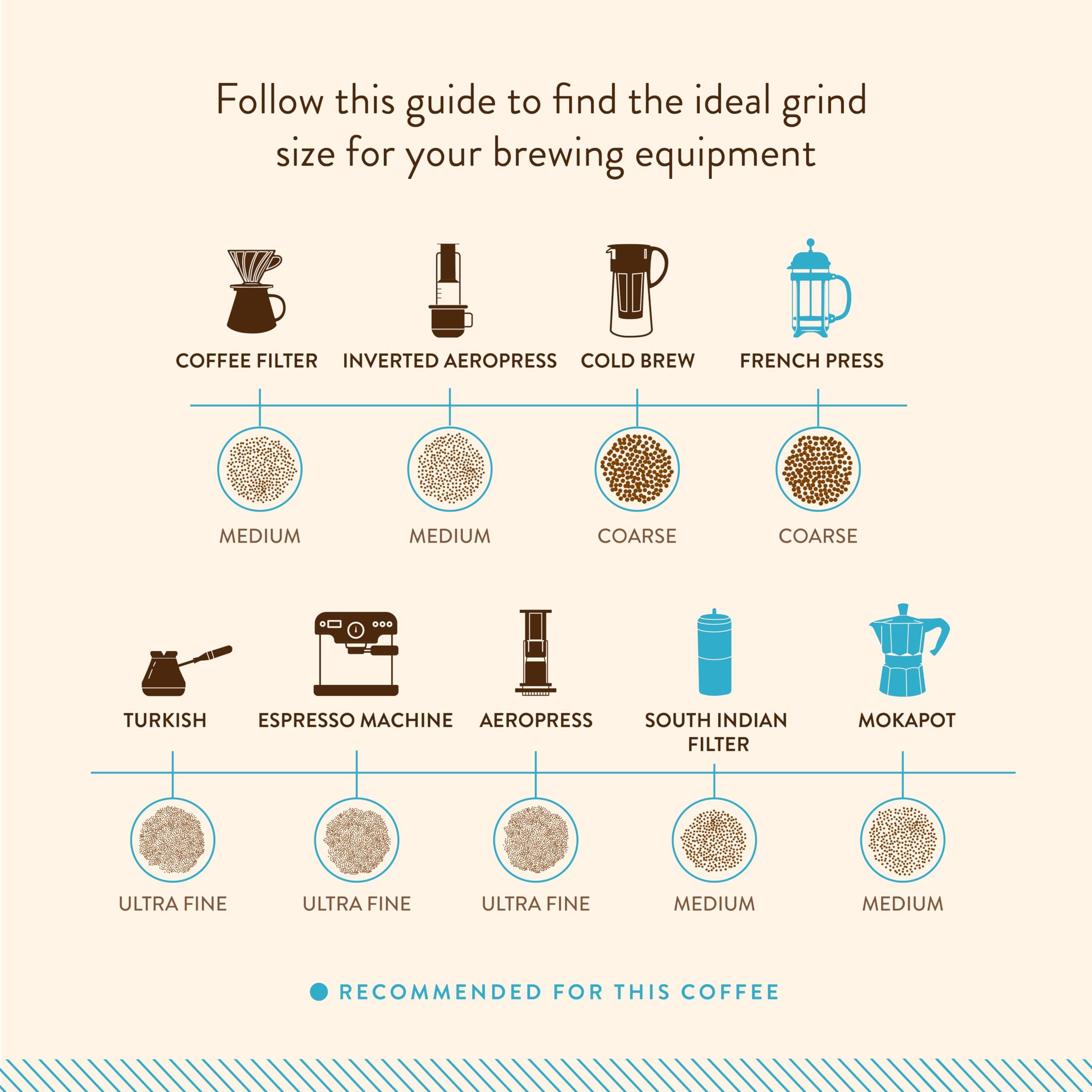 Blue Tokai Coffee Roasters Blue Tokai Coffee French Press Kit Gift Pack | Buy French Press 600ml |Get Free Vienna Roast - Dark Roast (French Press Grind) Grounded Arabica Coffee 250g